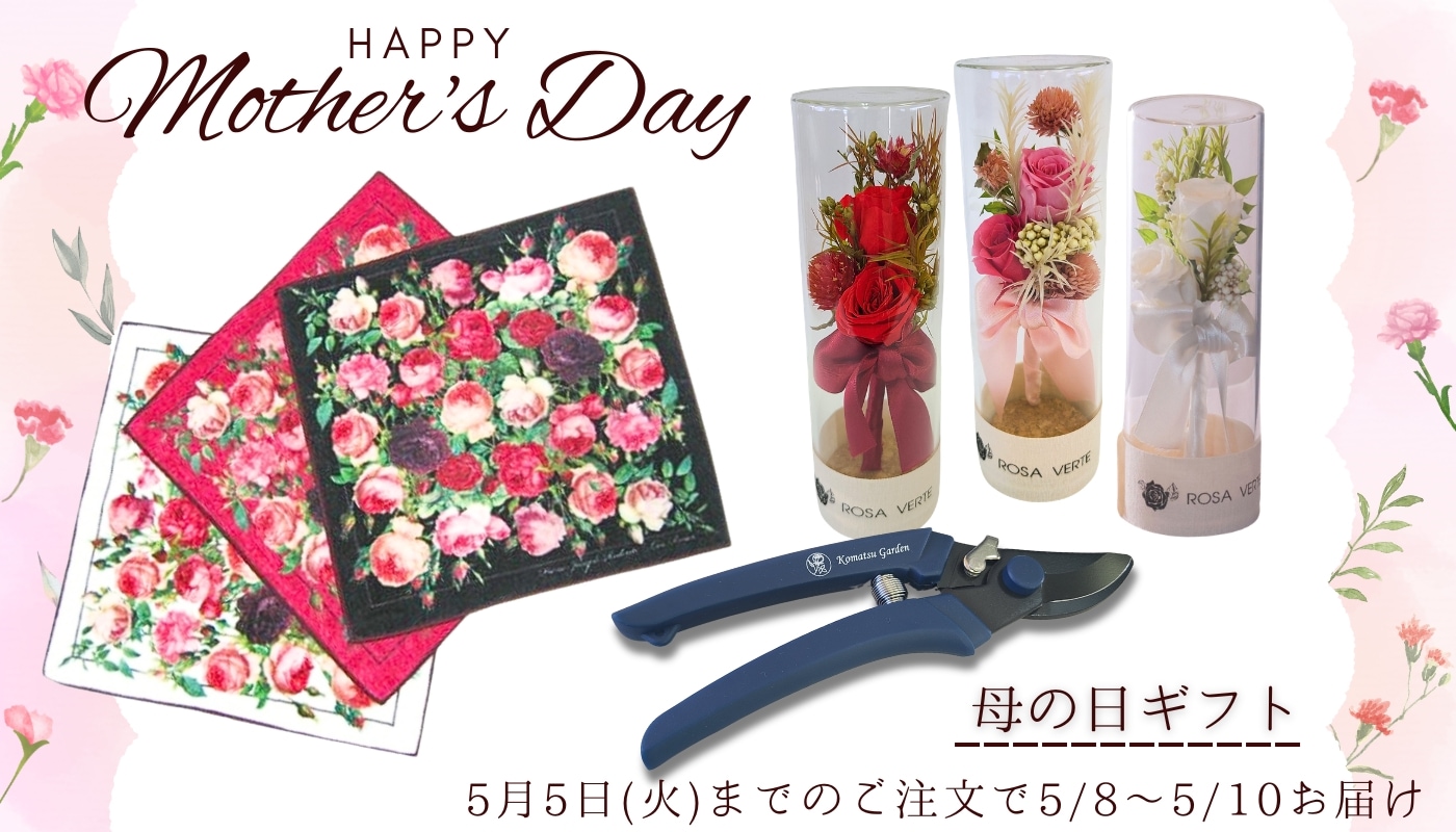 パラダイムノベルス　まとめ売り（バラ売りも可） バラ苗やバラ関連グッズの通販ならコマツガーデンオランラインショップ